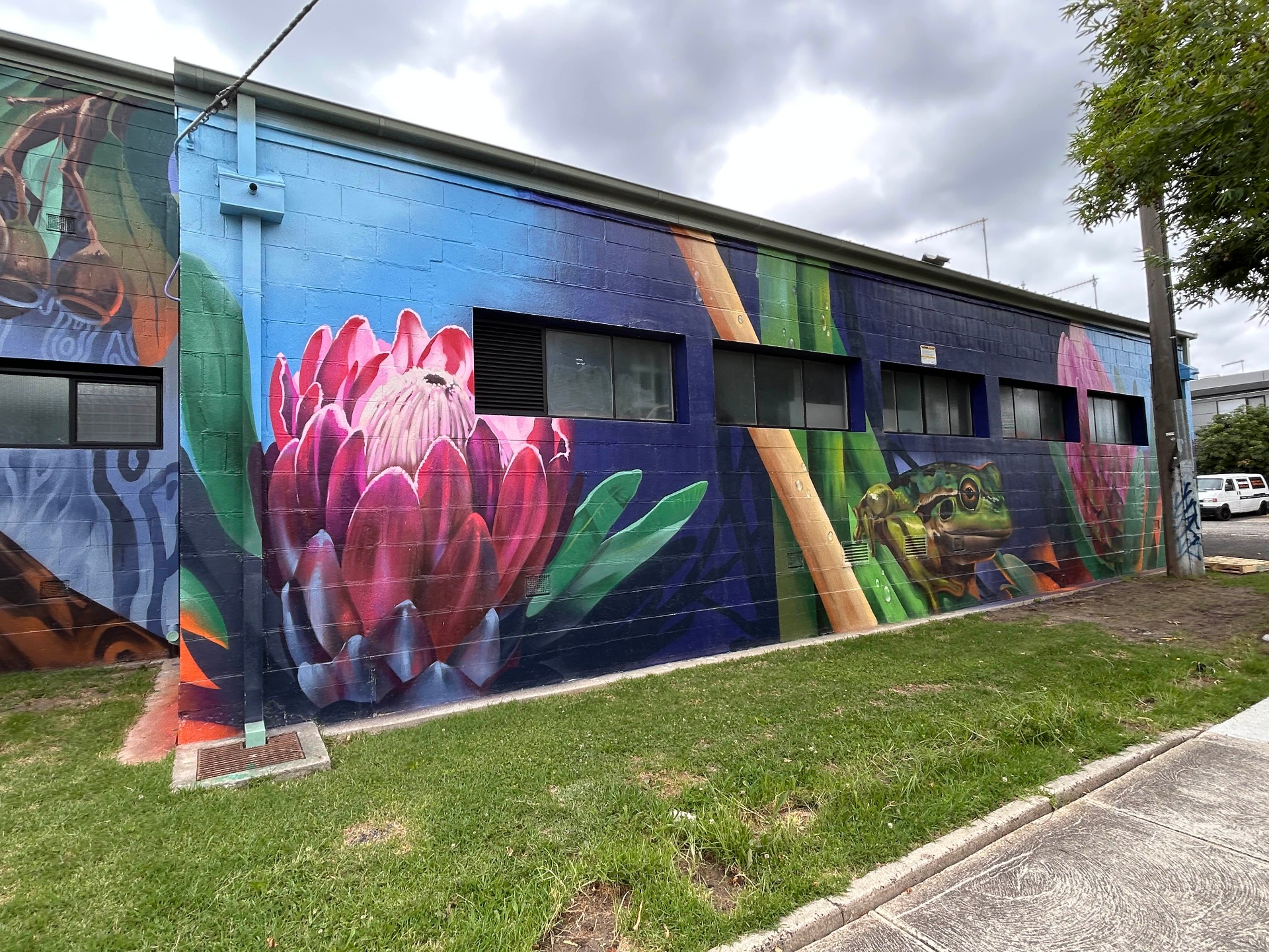 Protea and green tree frog mural along Jemena substation