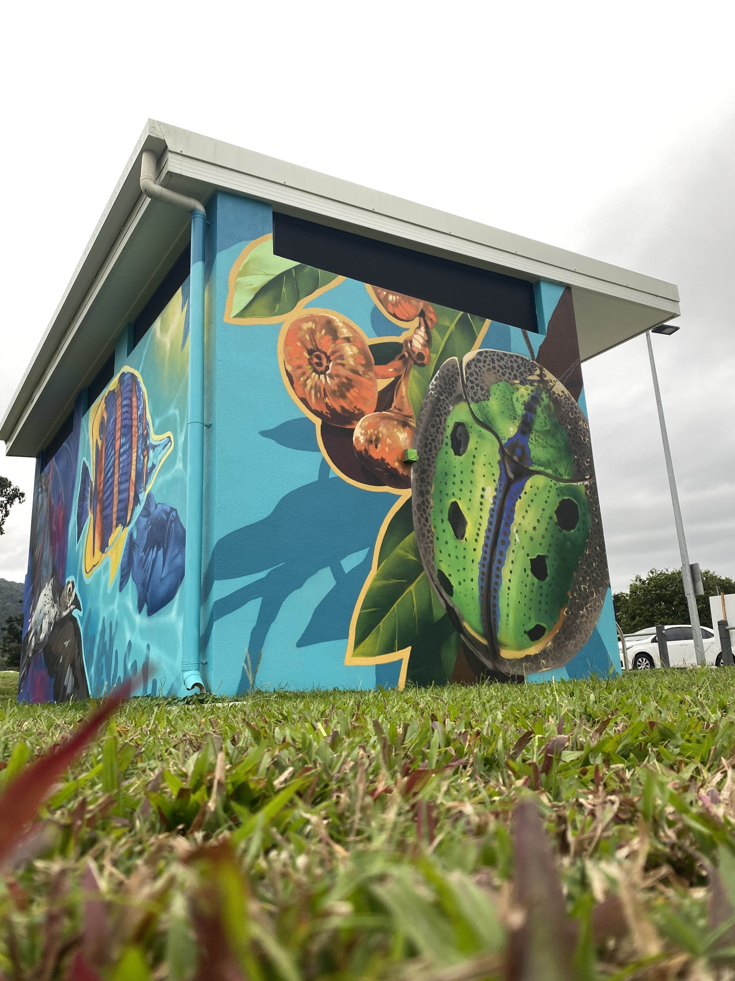 Mural detail with beetle, fig and marine life motifs