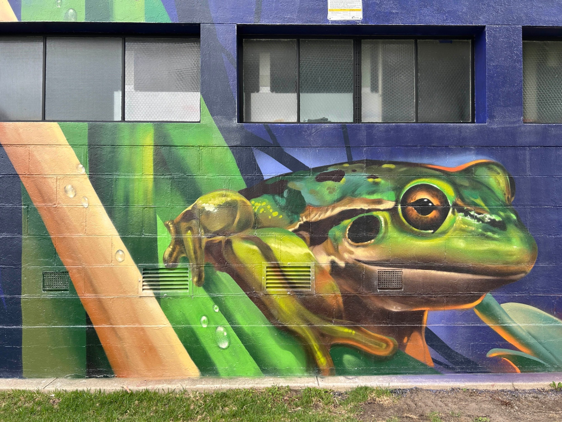 Photorealistic green tree frog mural detail