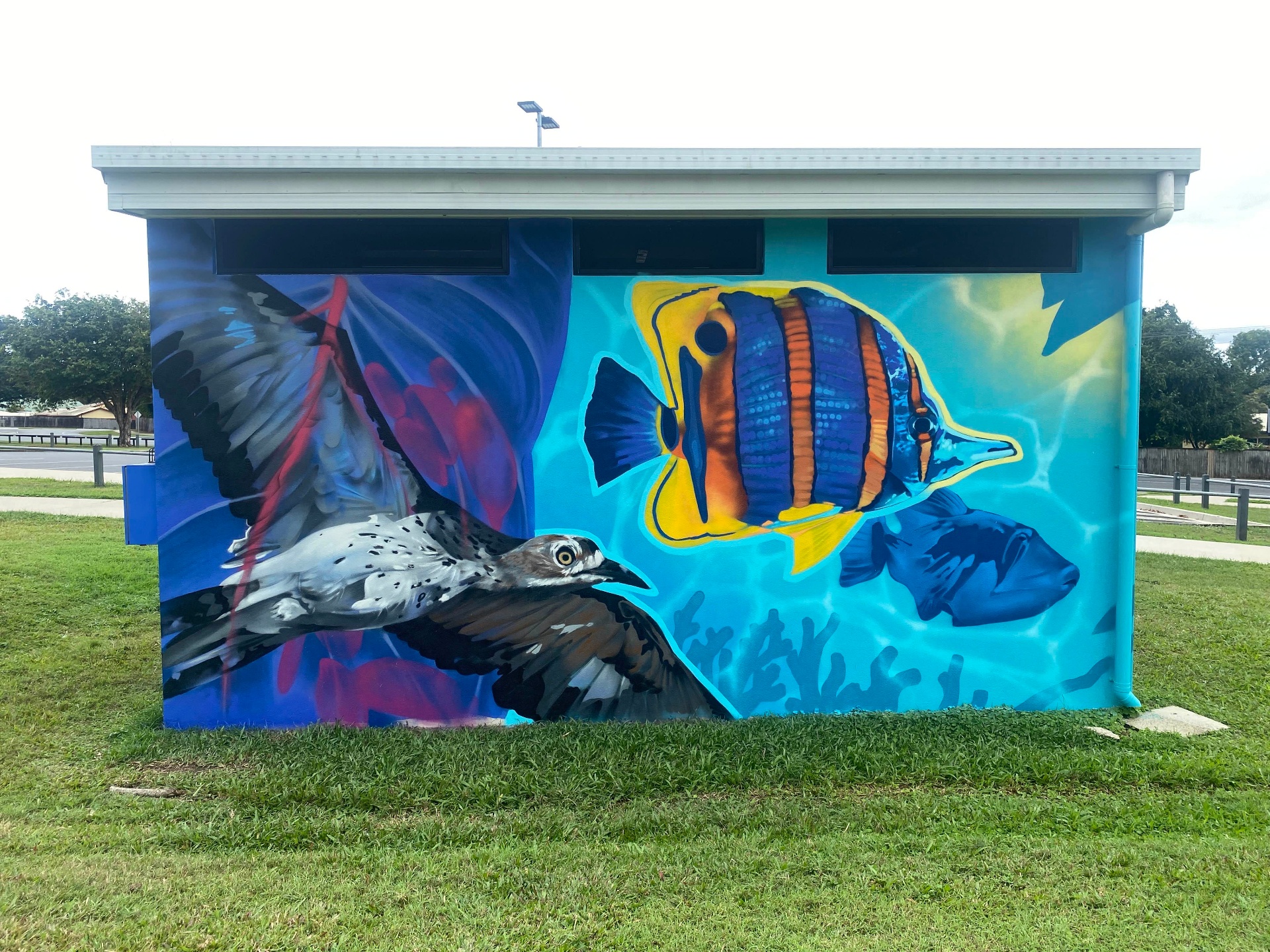 Butterfly fish and bird mural detail on the amenities block