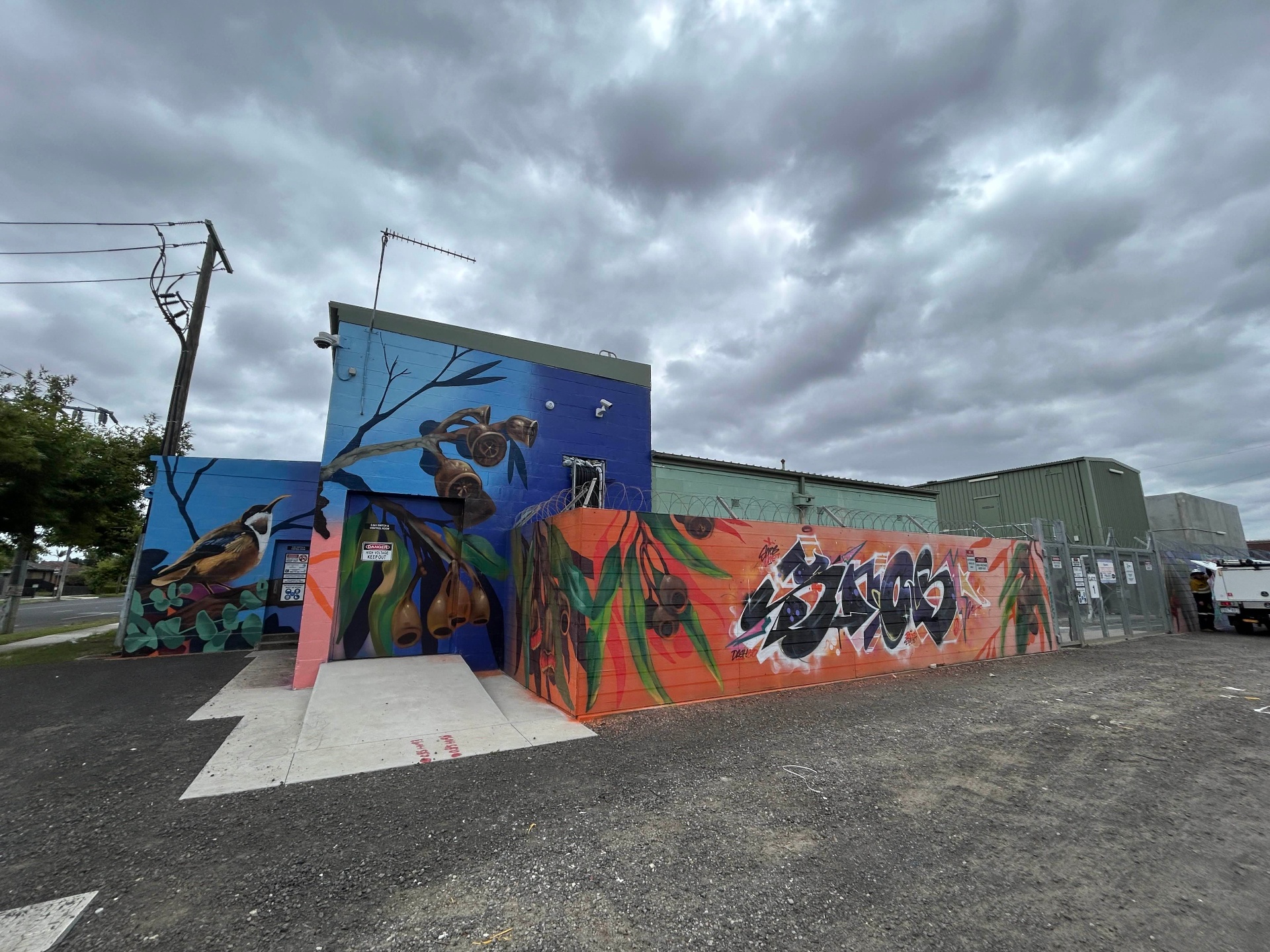 Jemena substation entrance with graffiti and gum blossom mural