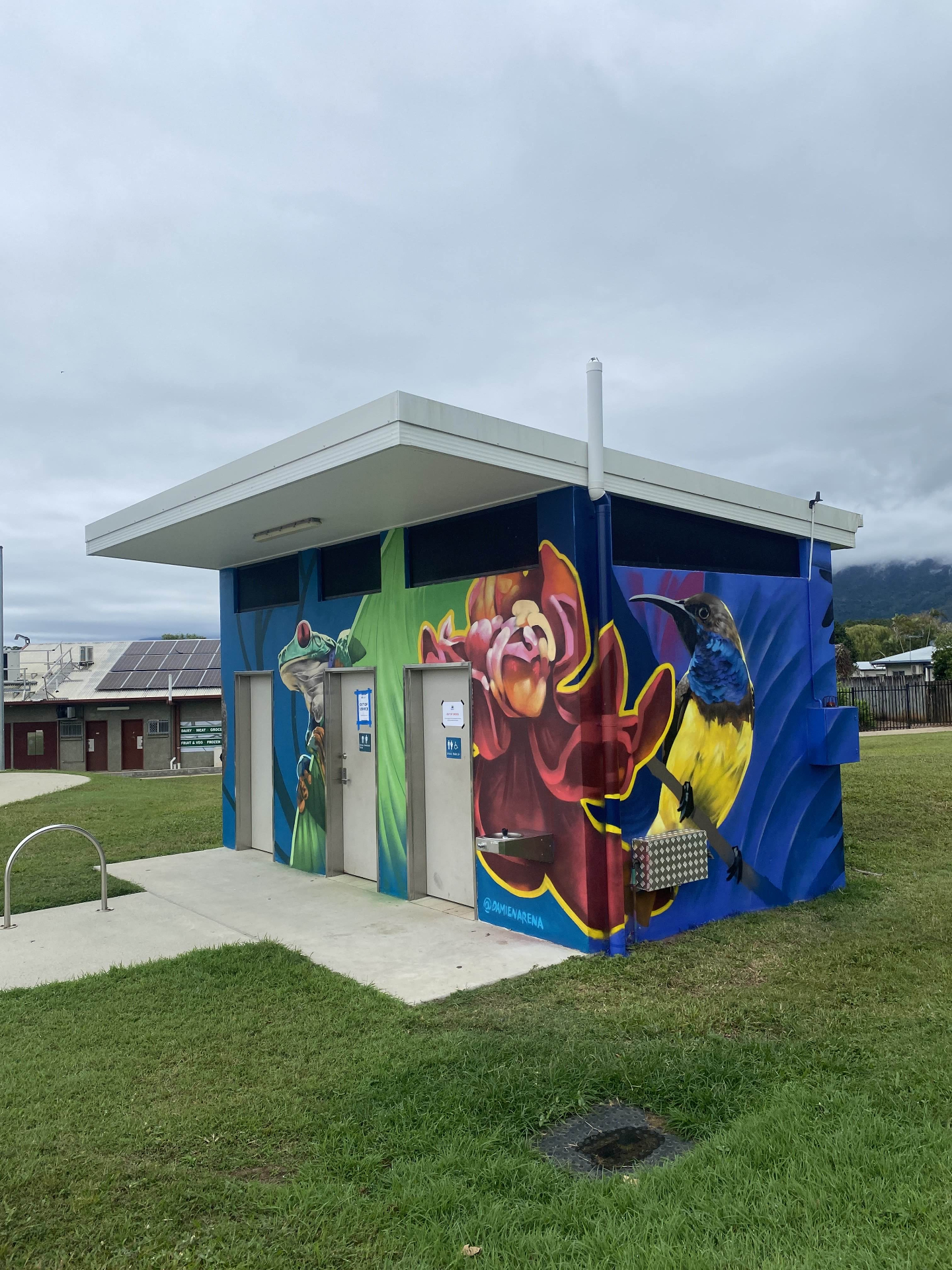 Front view of the completed mural with frog, flowers and sunbird
