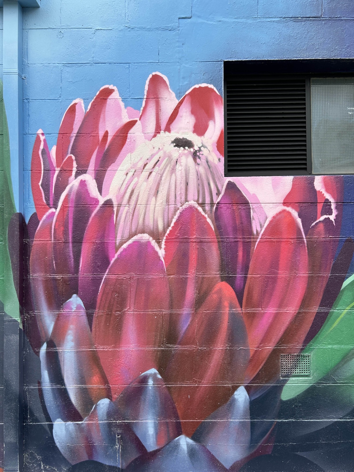 Close-up of protea flower mural detail