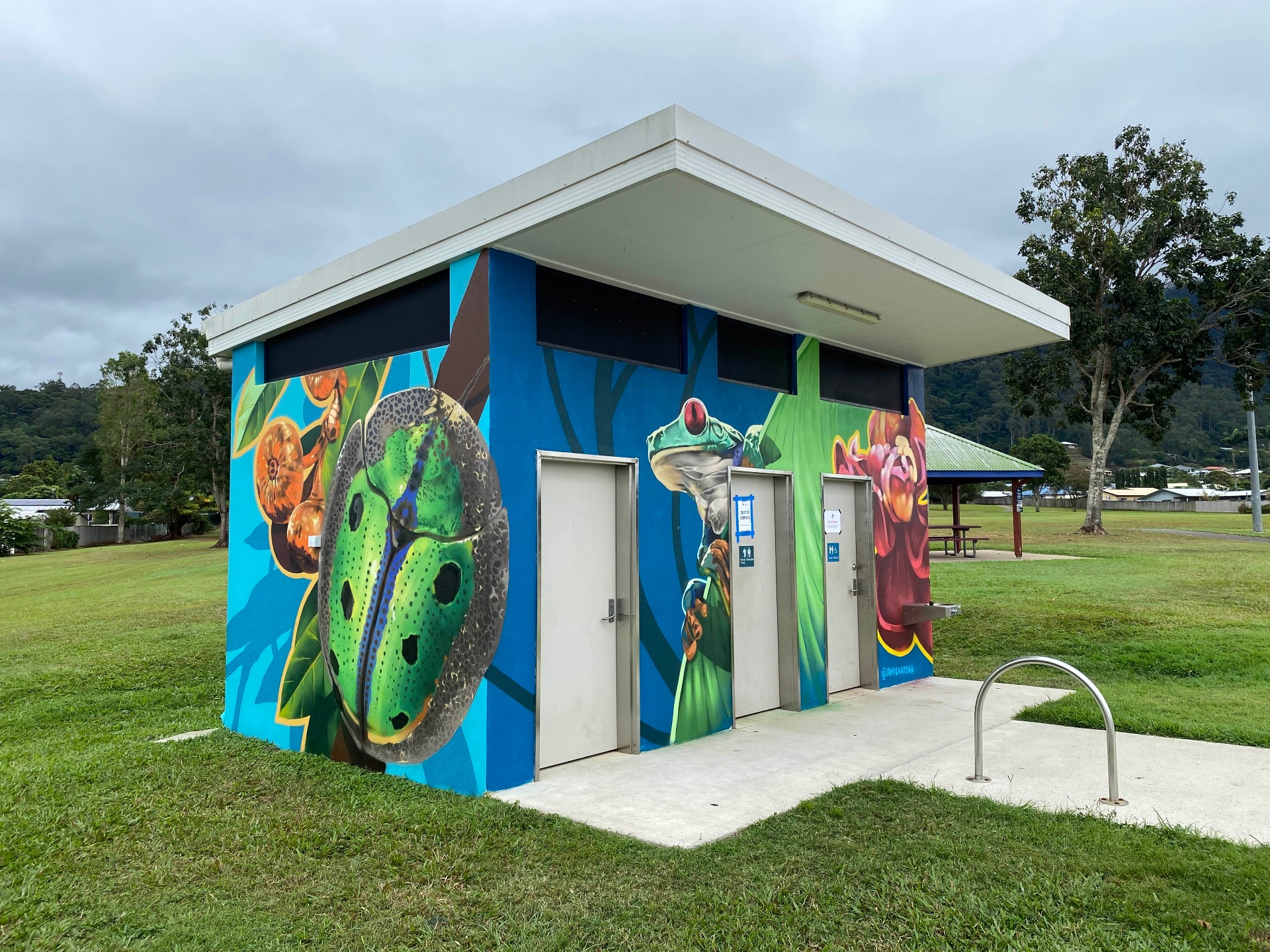 Cairns Regional Council mural project by Gradient